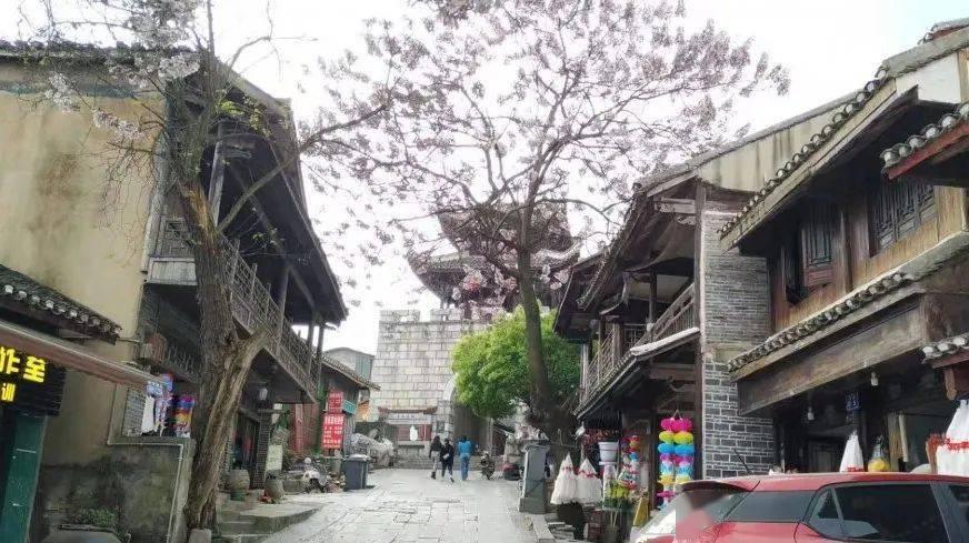 时尚潮流公主